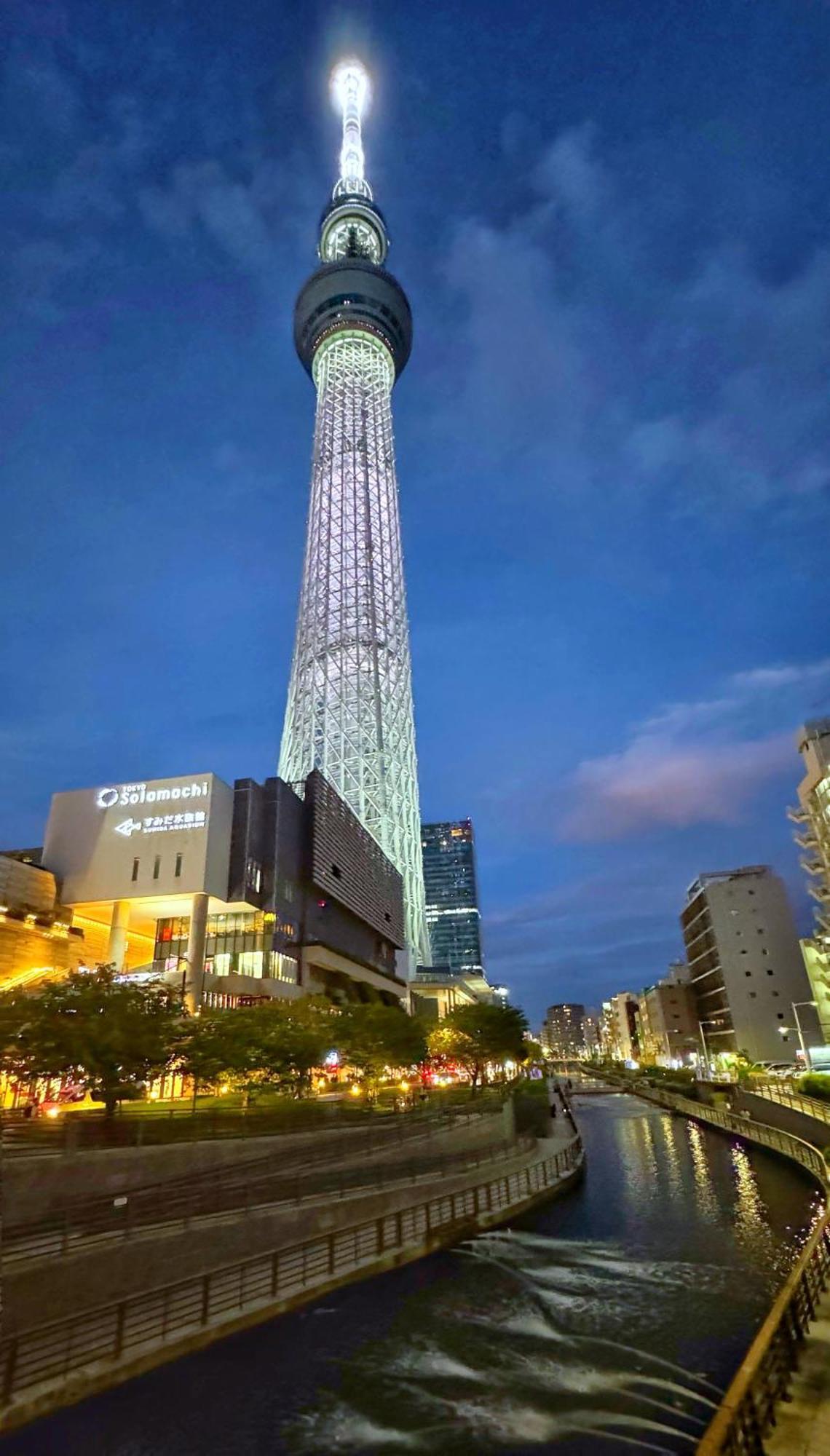 Tokyo Sakura Hotel Exteriör bild