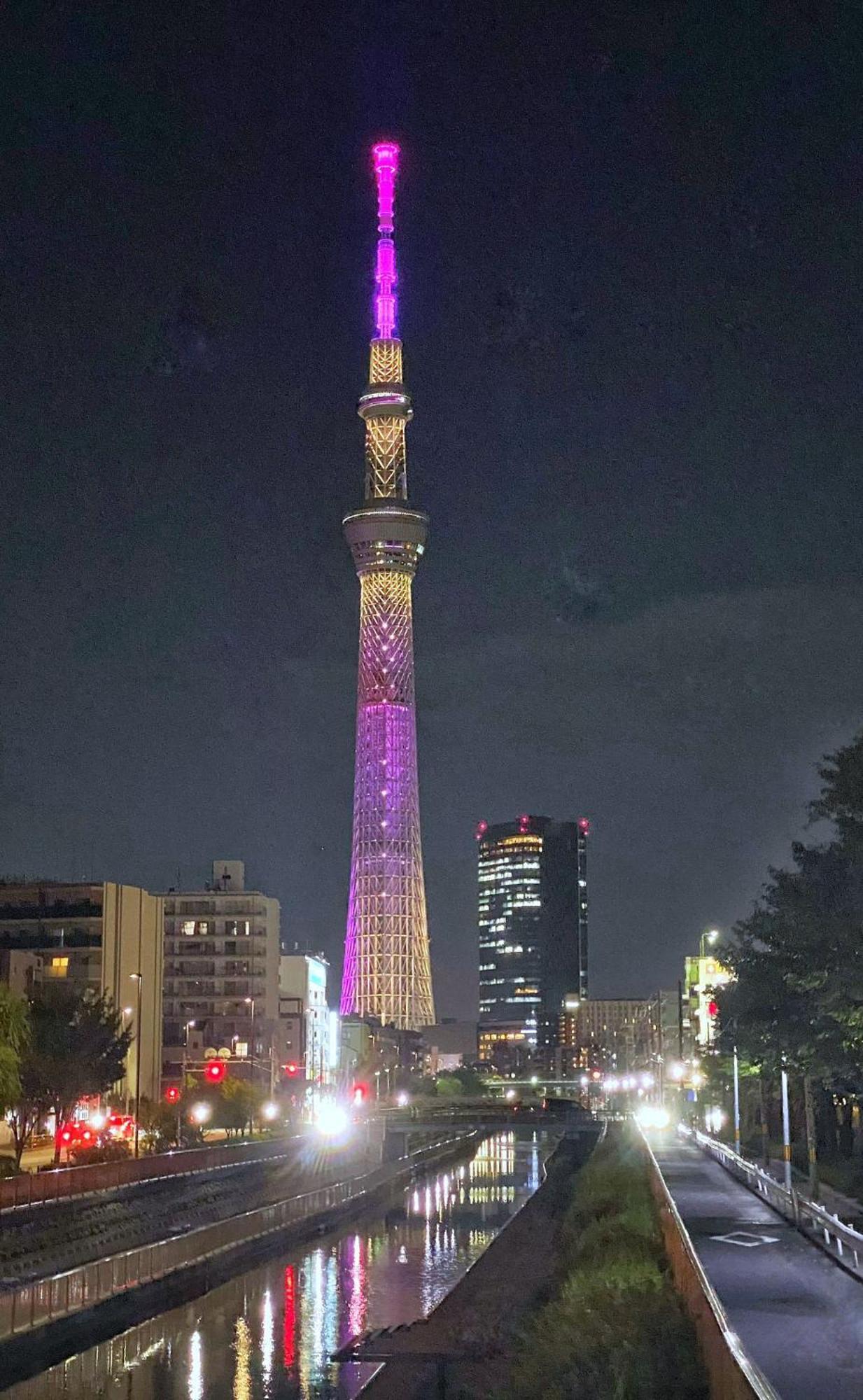 Tokyo Sakura Hotel Exteriör bild